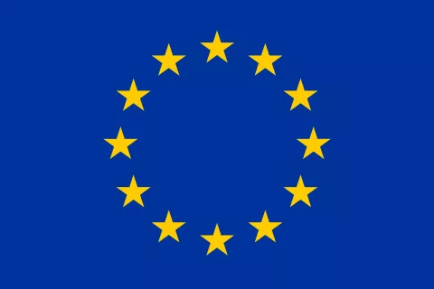Flag of European Union [Source: Wikipedia]
